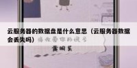 云服务器的数据盘是什么意思（云服务器数据会丢失吗）