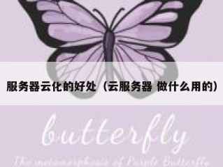 服务器云化的好处（云服务器 做什么用的）