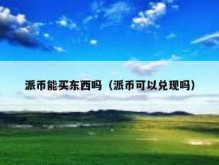 派币能买东西吗（派币可以兑现吗）