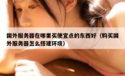 国外服务器在哪里买便宜点的东西好（购买国外服务器怎么搭建环境）