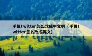 手机twitter怎么改成中文啊（手机twitter怎么改成英文）