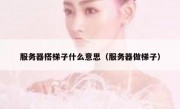 服务器搭梯子什么意思（服务器做梯子）