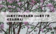 ins看不了评论怎么回事（ins看不了评论怎么回事儿）