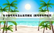 车子限号开车怎么处罚规定（限号开车咋处罚）