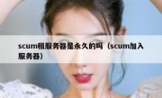 scum租服务器是永久的吗（scum加入服务器）