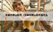 芝麻代理ip软件（芝麻代理ip软件是什么）