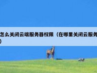 怎么关闭云端服务器权限（在哪里关闭云服务）