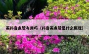 买抖音点赞有用吗（抖音买点赞是什么原理）