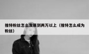 推特粉丝怎么发展到两万以上（推特怎么成为粉丝）