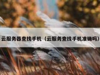 云服务器查找手机（云服务查找手机准确吗）