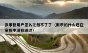 派币新用户怎么注册不了了（派币的什么还在审核中没有通过）
