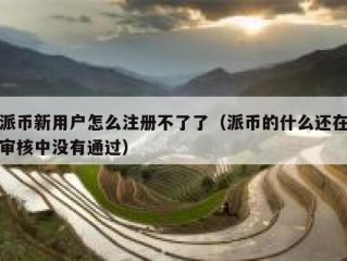 派币新用户怎么注册不了了（派币的什么还在审核中没有通过）