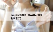 twitter账号名（twitter账号名字忘了）