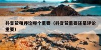 抖音赞和评论哪个重要（抖音赞重要还是评论重要）