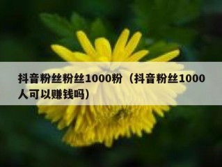 抖音粉丝粉丝1000粉（抖音粉丝1000人可以赚钱吗）