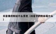 抖音里的粉丝什么意思（抖音中的粉丝是什么）