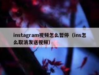 instagram视频怎么暂停（ins怎么取消发送视频）