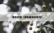 涨粉的话（涨粉最快的短句）