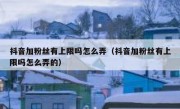 抖音加粉丝有上限吗怎么弄（抖音加粉丝有上限吗怎么弄的）
