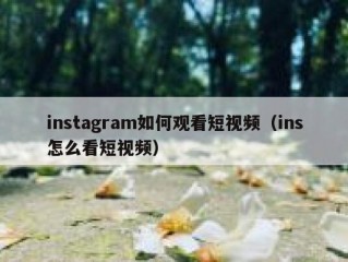 instagram如何观看短视频（ins怎么看短视频）