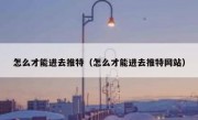 怎么才能进去推特（怎么才能进去推特网站）