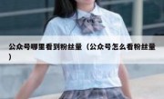 公众号哪里看到粉丝量（公众号怎么看粉丝量）