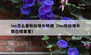 ins怎么看粉丝增长明细（ins粉丝增长数在哪里看）