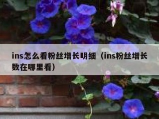 ins怎么看粉丝增长明细（ins粉丝增长数在哪里看）