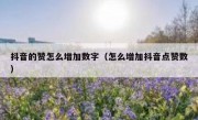 抖音的赞怎么增加数字（怎么增加抖音点赞数）