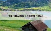 飞机代理ip购买（飞机免费代理ip）