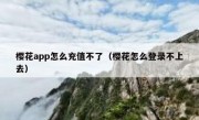 樱花app怎么充值不了（樱花怎么登录不上去）