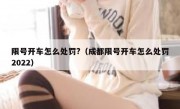 限号开车怎么处罚?（成都限号开车怎么处罚2022）