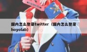 国内怎么登录twitter（国内怎么登录hoyolab）