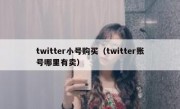 twitter小号购买（twitter账号哪里有卖）