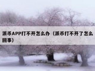 派币APP打不开怎么办（派币打不开了怎么回事）