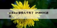 pi币kyc审核几个月了（Pi币KYC进度）