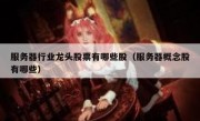 服务器行业龙头股票有哪些股（服务器概念股有哪些）