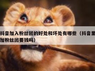 抖音加入粉丝团的好处和坏处有哪些（抖音里加粉丝团要钱吗）