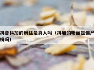 抖音抖加的粉丝是真人吗（抖加的粉丝是僵尸粉吗）