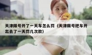 天津限号开了一天车怎么罚（天津限号把车开出去了一天罚几次款）