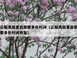 云服务器重启需要多长时间（云服务器重启需要多长时间恢复）