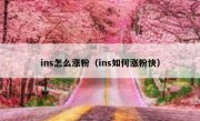 ins怎么涨粉（ins如何涨粉快）
