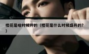 樱花是啥时候开的（樱花是什么时候盛开的?）