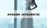 派币钱包视频（派币钱包视频下载）