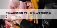 vps云服务器哪个好（vps云主机服务商）