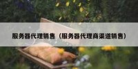 服务器代理销售（服务器代理商渠道销售）