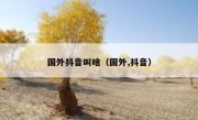 国外抖音叫啥（国外,抖音）