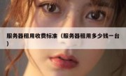 服务器租用收费标准（服务器租用多少钱一台）