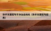 快手文案短句干净治愈阳光（快手文案短句经典）