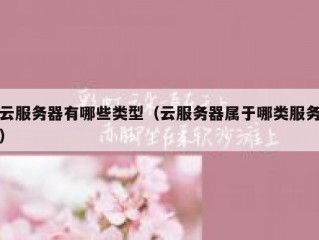 云服务器有哪些类型（云服务器属于哪类服务）